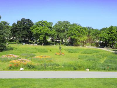 Drugačno pokopališče: zadnji počitek na cvetočem travniku