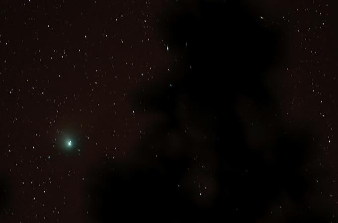 Zeleni komet, kot so ga v noči na sredo videli na Tenerifih. | Foto: AP / Guliverimage