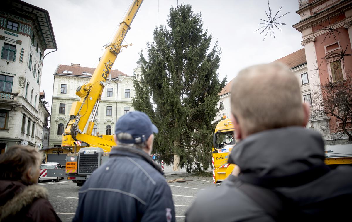 Novoletna smreka v Ljubljani Prešernov trg | Foto Ana Kovač