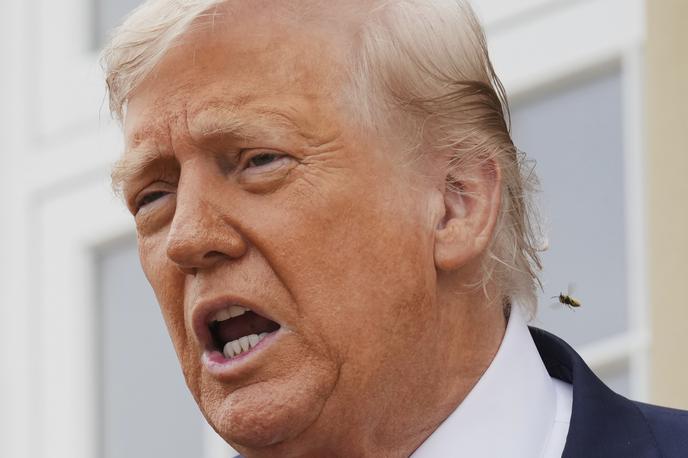 Donald Trump | Prvotni 50-dnevni rok, ki ga je najavil pred dvema tednoma, v nasprotju s Trumpovimi željami namreč ni vplival na potek vojne. | Foto Guliverimage