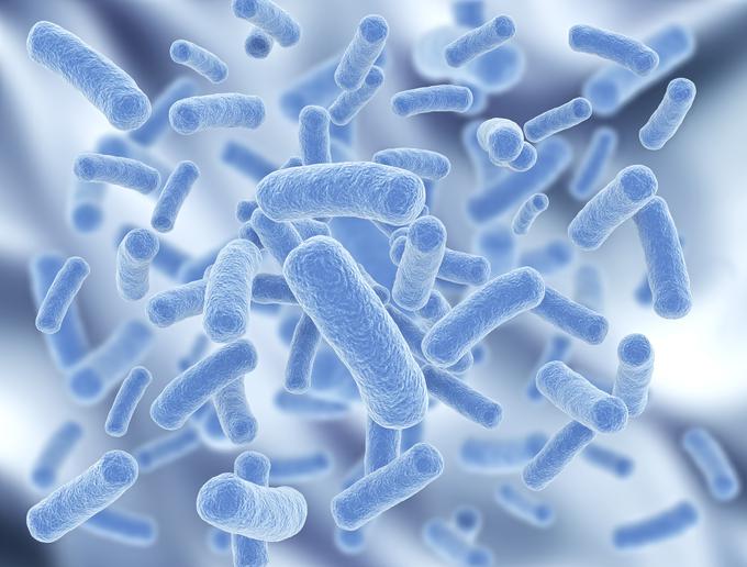 Skupina izraelskih strokovnjakov je v raziskavi na znanstvenem inštitutu Weizmann ustvarila lastno mešanico z 11 dobrimi bakterijami in jo za mesec dni ponudila v uporabo 25 zdravim prostovoljcem. | Foto: 