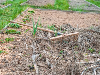 Deset najpomembnejših vrtnih opravil, ki jih morate opraviti še pred začetkom sezone