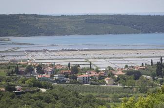 V Sečoveljskih solinah do zdaj pridelali le desetino letnega načrta