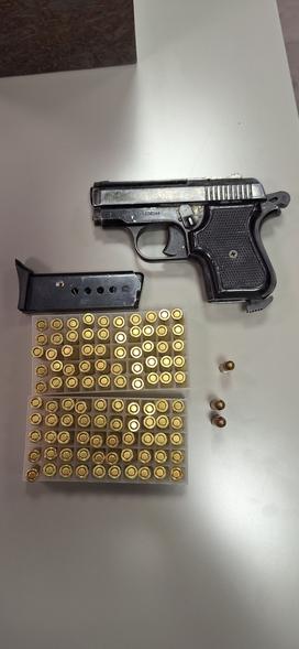 policijska preiskava, policija, kriminalistična preiskava