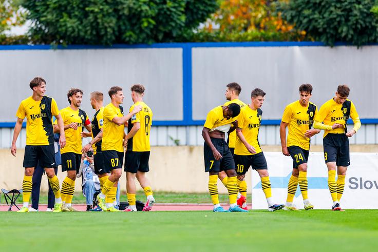 Radomlje so do točke prišle v 92. minuti. | Foto: Aleš Fevžer