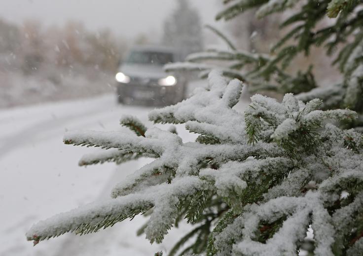 Sneg bo lahko prišel do nižin. | Foto: Guliverimage