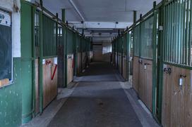 Pedagoško raziskovalni center za konjerejo Krumperk