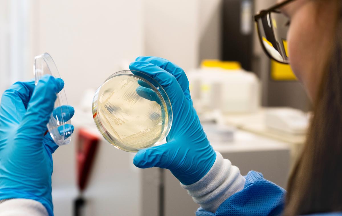 laboratorij, bakterije | Foto Shutterstock