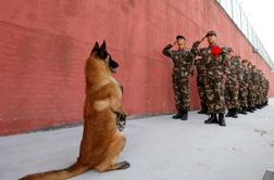 Bidnov pes Commander zaradi agresivnega vedenja zapustil Belo hišo