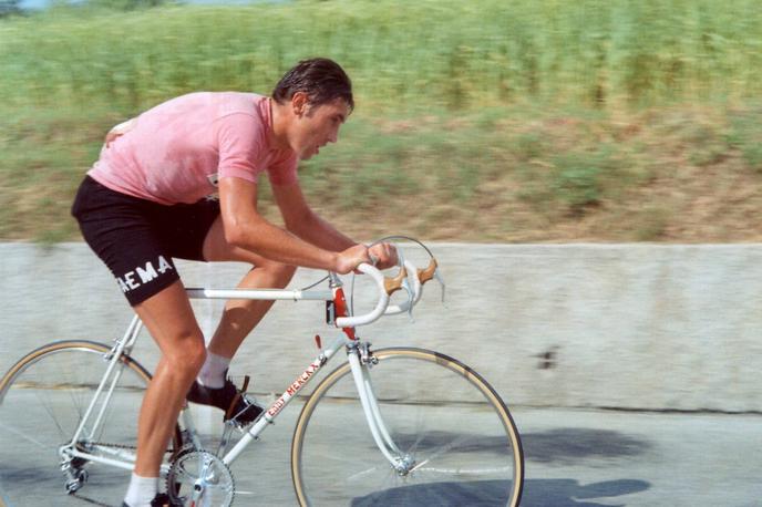 Eddy Merckx Giro | Eddy Merckx je petkrat osvojil Giro d'Italia. Bil je na dobri poti, da ga tudi leta 1969, a so ga zaustavili. | Foto Guliverimage