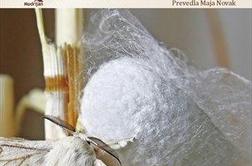 Nova Modrijanova zbirka Svila