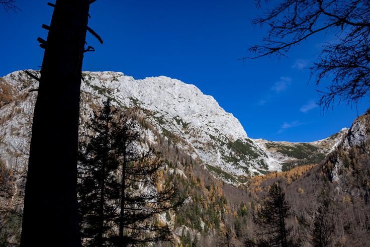 Pri lovski koči se prvič odpre pogled na Kamniško sedlo in Brano. | Foto: Matej Podgoršek