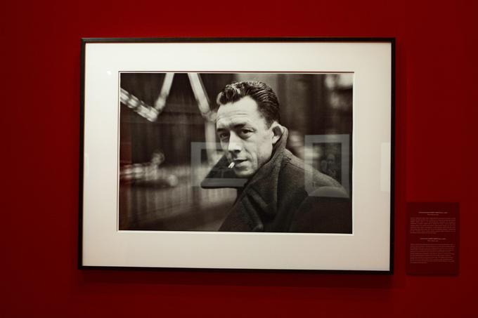 Portret francoskega novinarja, pisatelja in filozofa Alberta Camusa | Foto: Ana Kovač