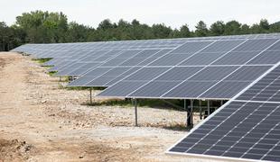 Bo na Štajerskem zraslo največje polje sončnih elektrarn pri nas?
