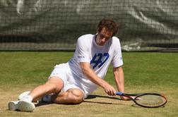 Murray upa na vrnitev do Wimbledona