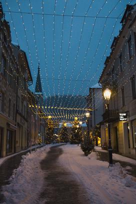 Celje Zavod Celeia