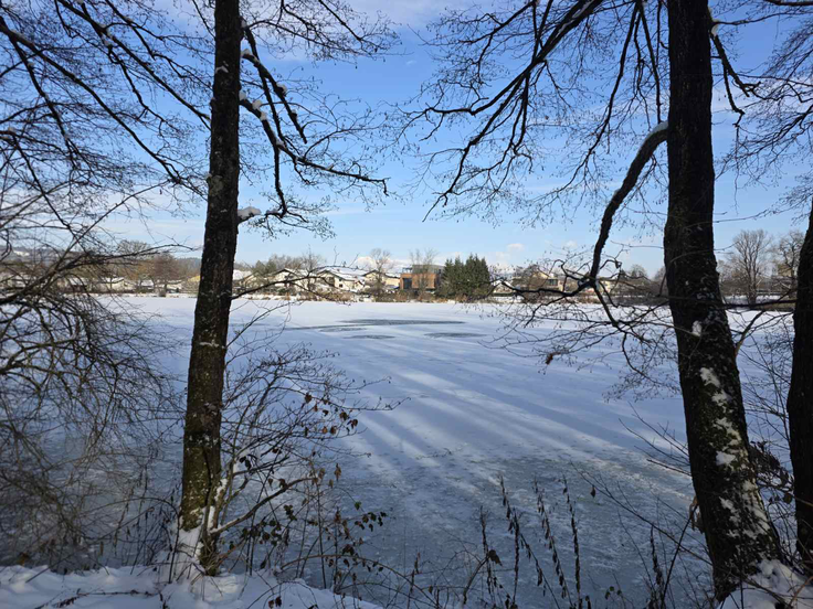 nesreča Koseški bajer | Foto: Ana Ahačevčič