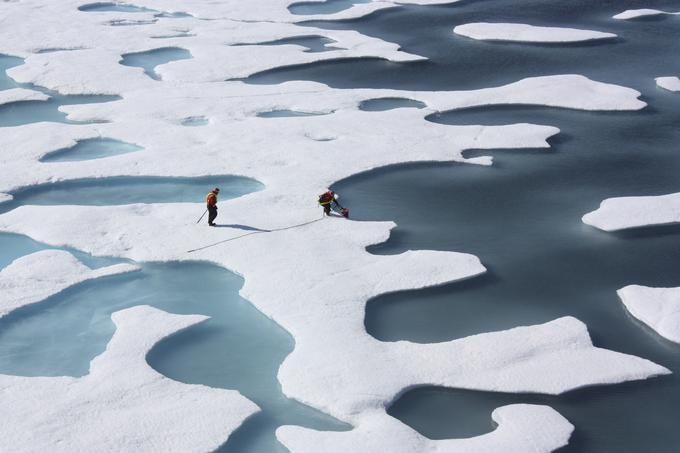 arktični led | Foto: Reuters