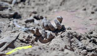 V Iraku v množičnih grobiščih našli skoraj 500 trupel