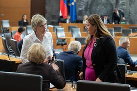 Drćavni zbor, Glasovanje, Janez Janša
