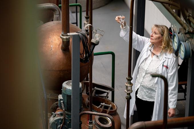 "Ni res, da je sadje dobro za žganje, če je nagnito in malo plesnivo. Vsaka plesen, vsaka gniloba škodi kakovostnemu destilatu." | Foto: Fructal