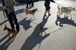 Tudi letos bodo aktivni