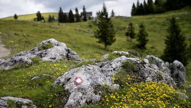 Čaka nas drugačna planinska sezona, prvič tudi rezervacije nočitev v kočah preko spleta