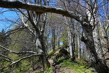 Polhograjski Dolomiti