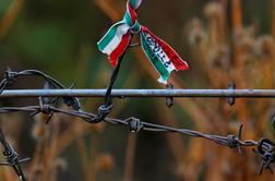 Madžarska zavrnjenim prosilcem za azil namenoma ni zagotovila hrane