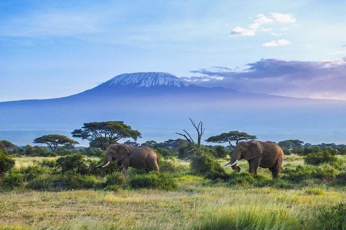 Kenija je prvi predlog umetne inteligence, ko za destinacijo zahtevamo naravne znamenitosti, malo zgodovine, dobro hrano in da ni preveč vroče. | Foto: Getty Images