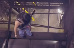 Še ena žrtev TikToka: med izvajanjem izziva umrla komaj 12-letna deklica #video