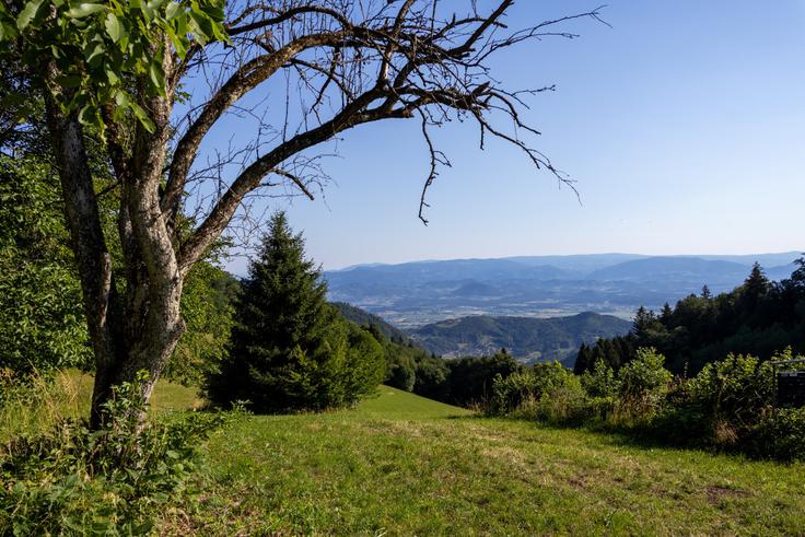 Prek Leniške doline pogled v smeri Celja. | Foto: Matej Podgoršek