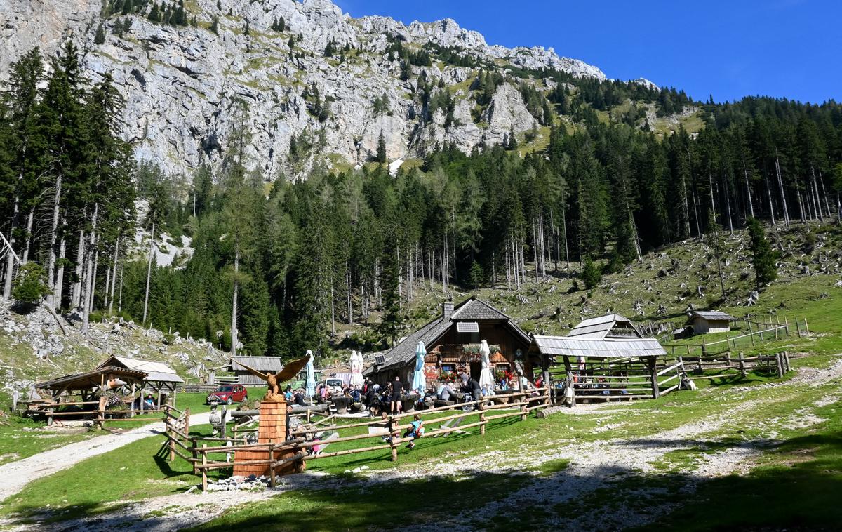 Dolga Njiva Plešivec Košuta | Planšarija Dolga njiva pod Košutnikovim turnom | Foto Matej Podgoršek
