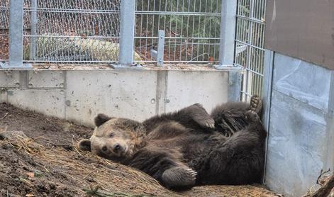 To so v Avstriji njeni najljubši priboljški
