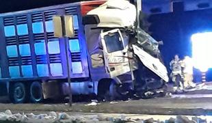 V prometni nesreči pri Novem mestu umrl voznik tovornjaka
