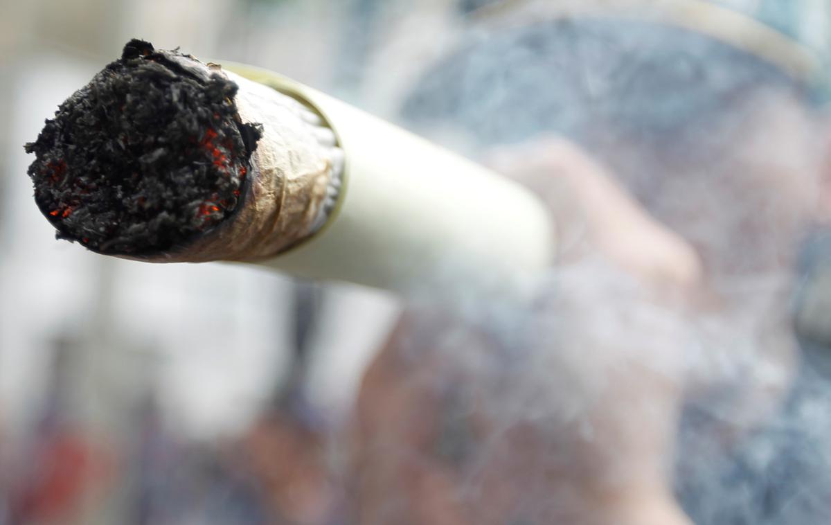 Marihuana, kanabis, džojnt, droge, THC | Foto Reuters