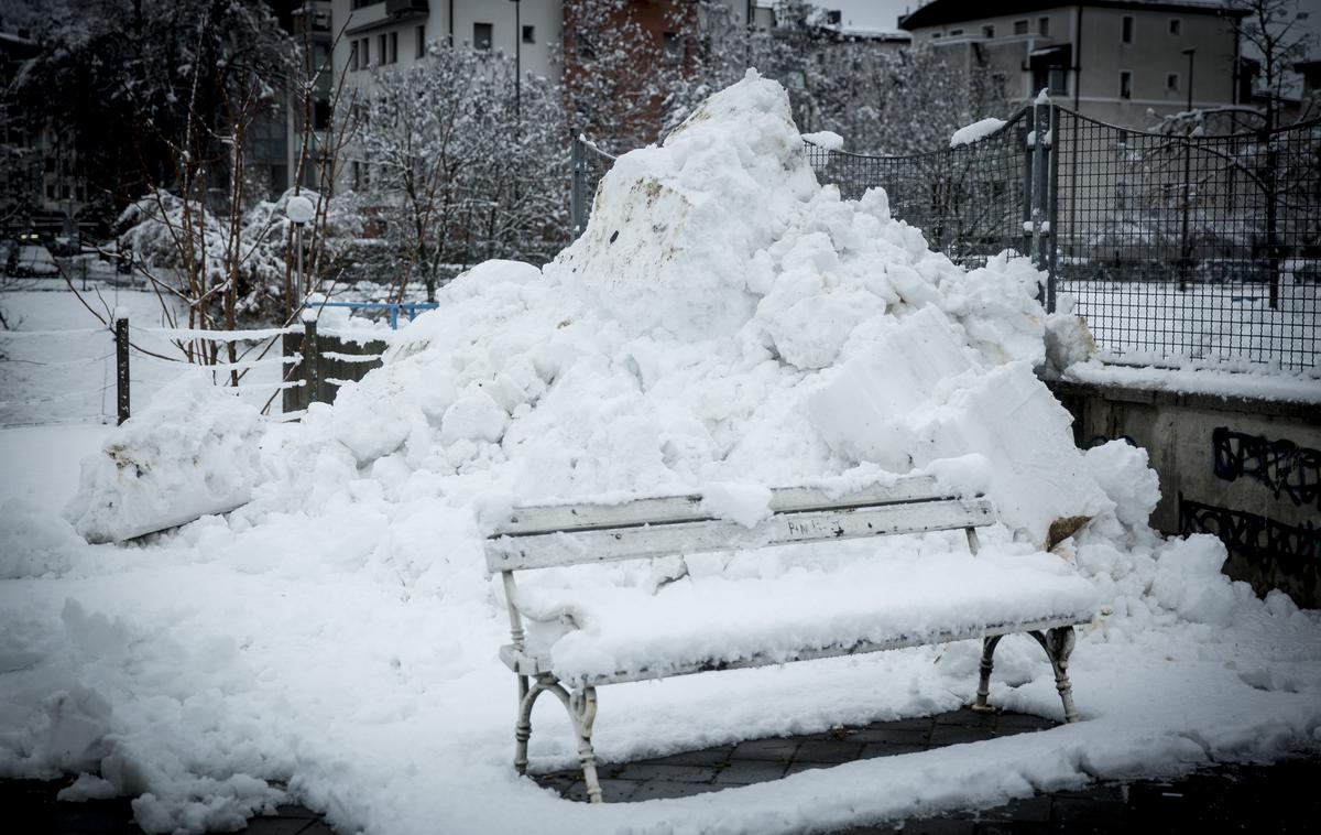 Sneg v Ljubljani, sneženje, zima | Foto Ana Kovač