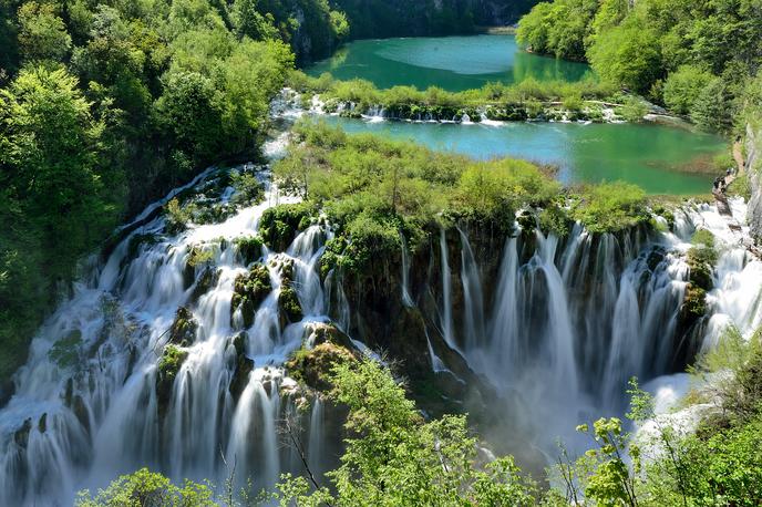 Star | Foto Arhiv Nacionalnega parka Plitvice