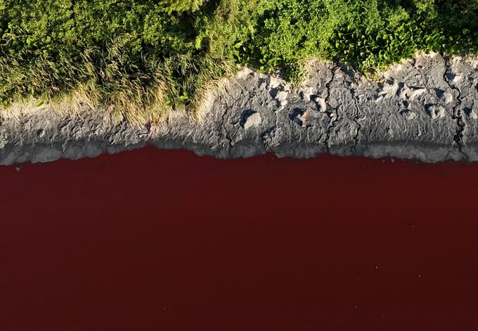 Argentina reka | Foto: Reuters