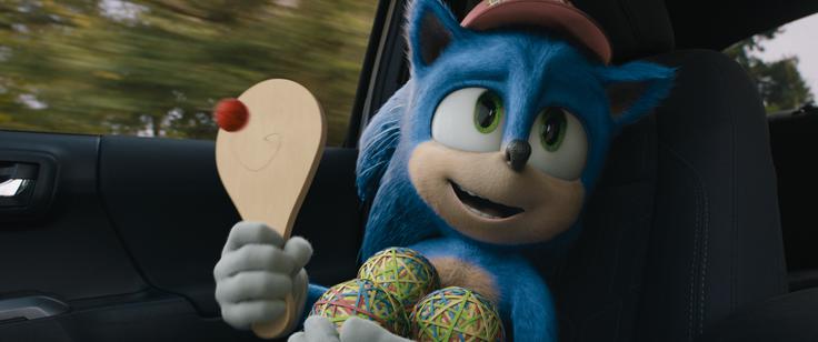 Ježek sonic | Foto: 