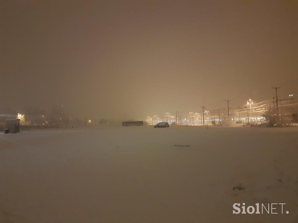 Ljubljana sneg
