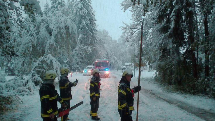 Gasilci so se znova izkazali (foto: PGD Radomlje/Facebook). | Foto: 