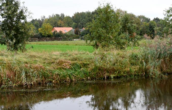 Kmetija na Nizozemskem | Foto: Reuters