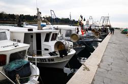 Dober ulov slovenskih ribičev: poleg cipljev ulovili tudi orade