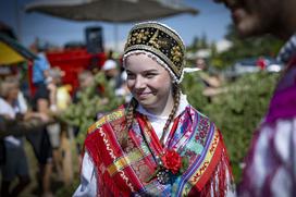 Posavsko štehvanje