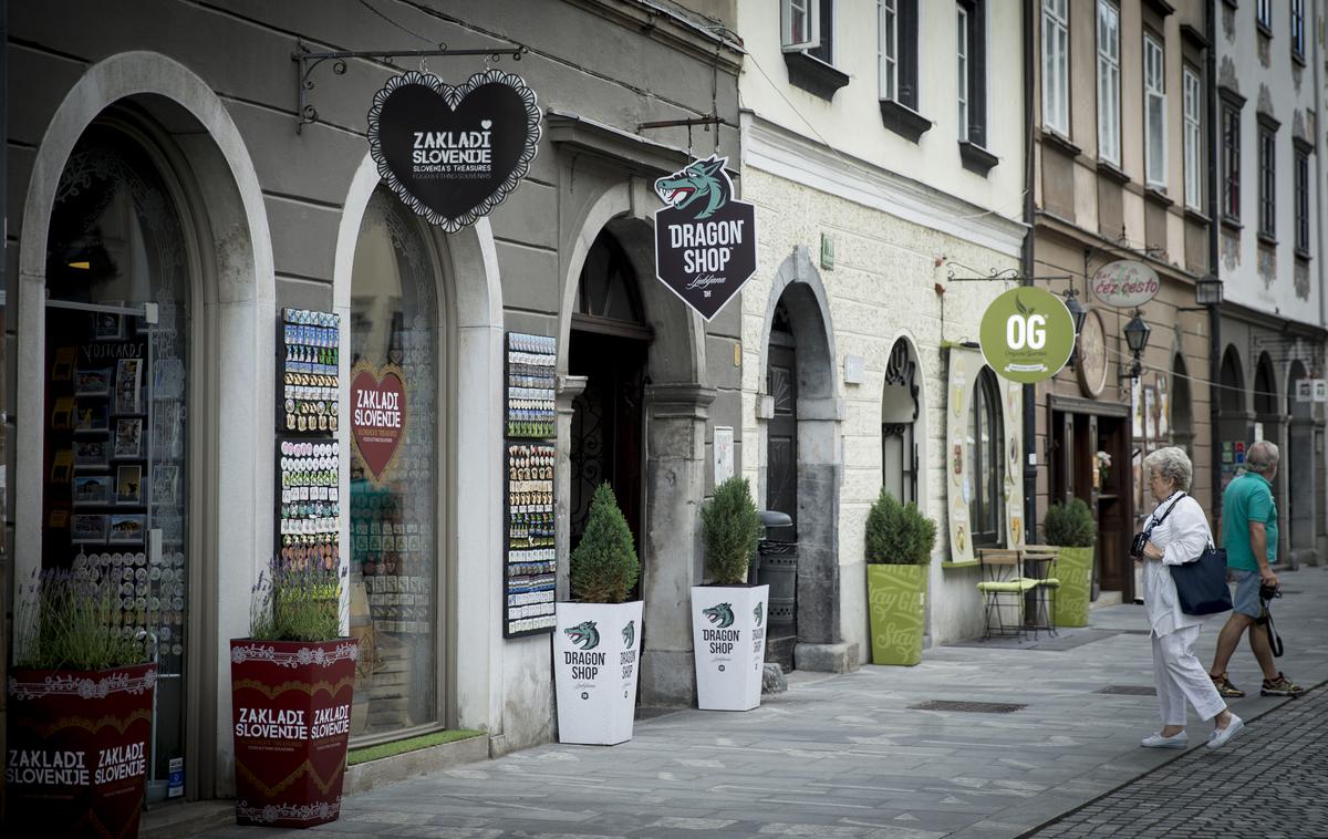 turizem Ljubljana | Letos se je v prvih osmih mesecih za oddajanje nepremičnin registriralo za 30 odstotkov več zavezancev kot v enakem obdobju lani. | Foto Ana Kovač