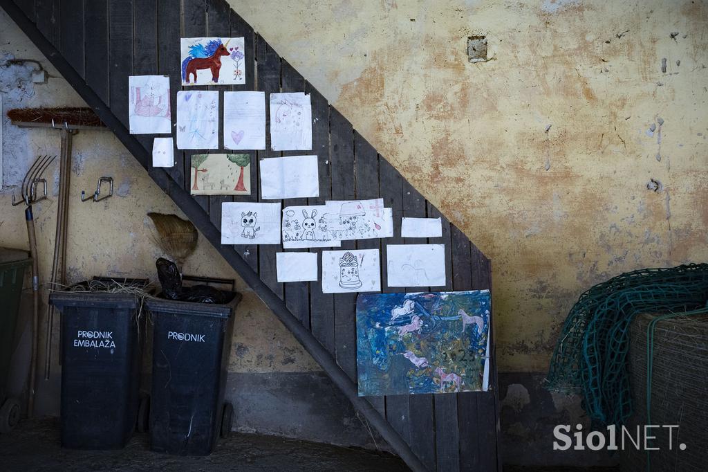 Pedagoško raziskovalni center za konjerejo Krumperk