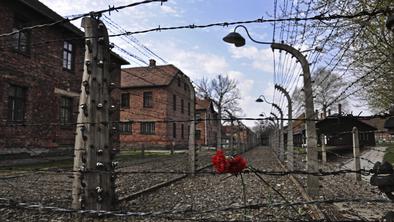 Britanska najstnika pridržali zaradi kraje v Auschwitzu