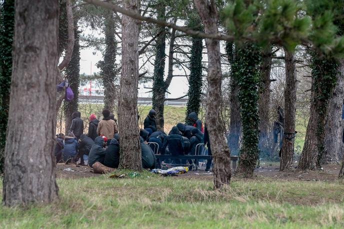 Migranti, migracije, Mehika | Uredba o mejnem nadzoru bo podaljšana do 15. septembra.  | Foto Guliverimage