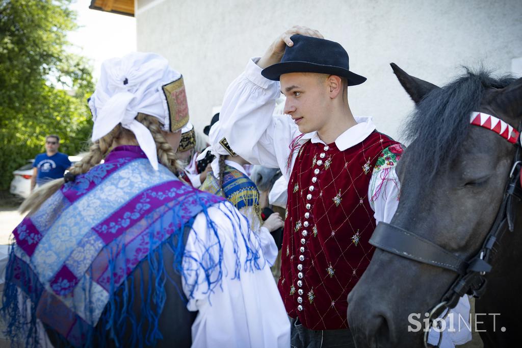 Posavsko štehvanje